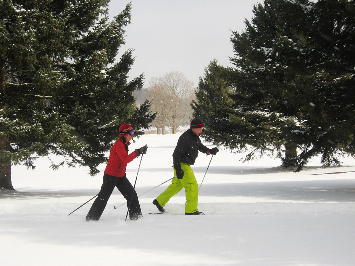 XC ski the back country of Holiday Valley