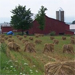 Thumbnail of straw stacked in a field by the Amish