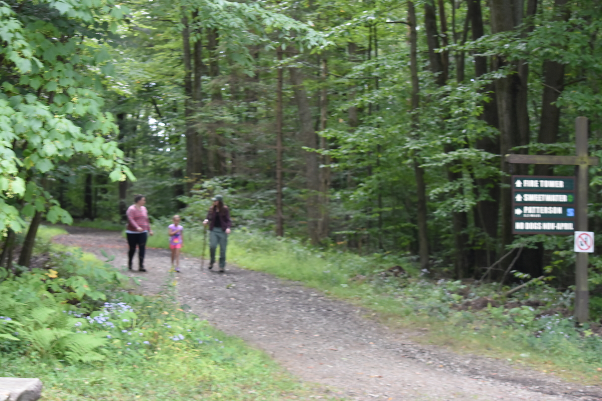 Hiking at Allegany State Park