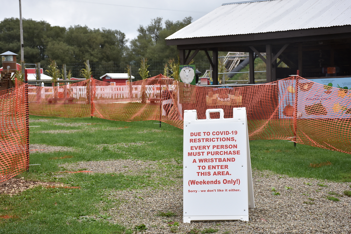 Signage for Pumpkinville