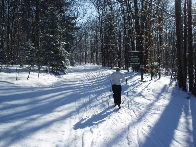 Cross Country Skiing on the Art Roscoe Trails at Allegany State Park