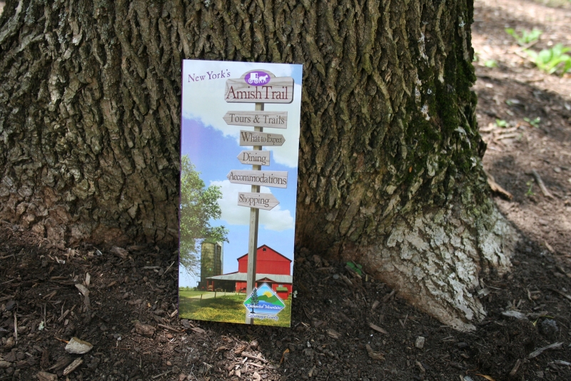 Picture of 2012 New Amish Trail Brochure and Map leaning on a tree's trunk