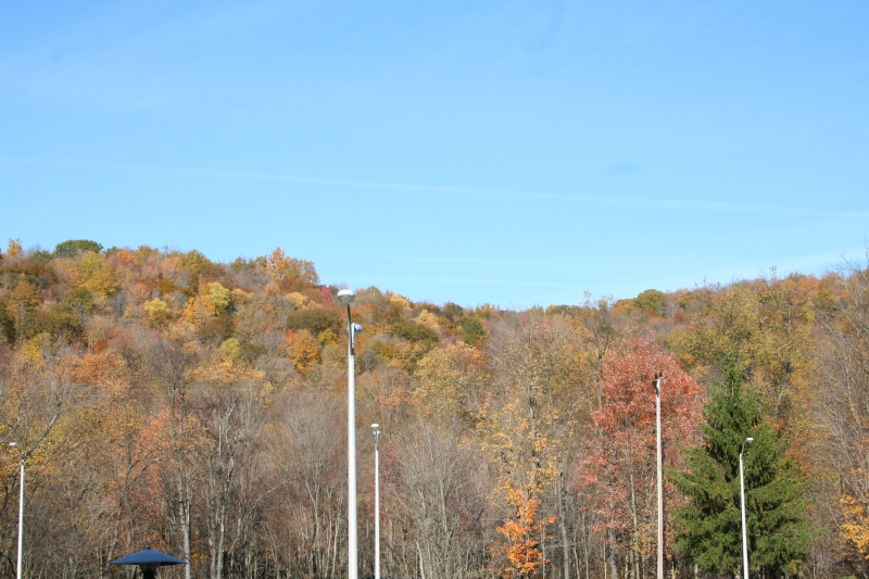 View behind the Cattaraugus County center building in Little Valley, NY