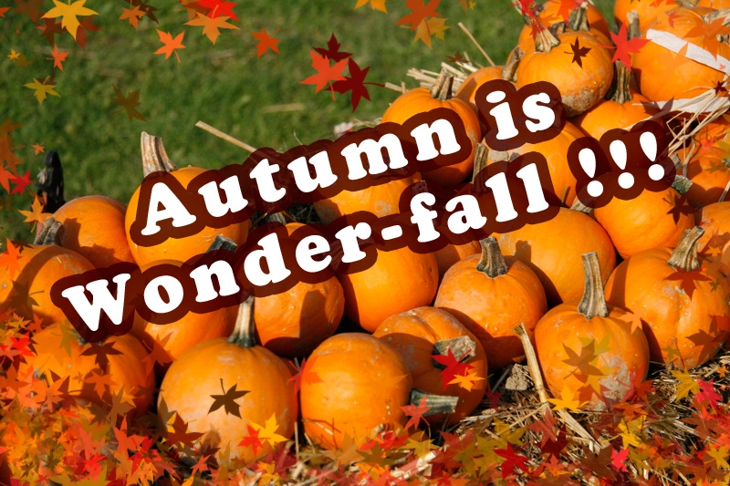 Autumn is Wonder-fall!!!