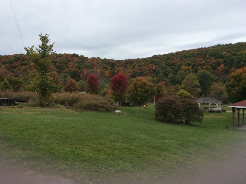 Fall foliage in Little Valley on October 11