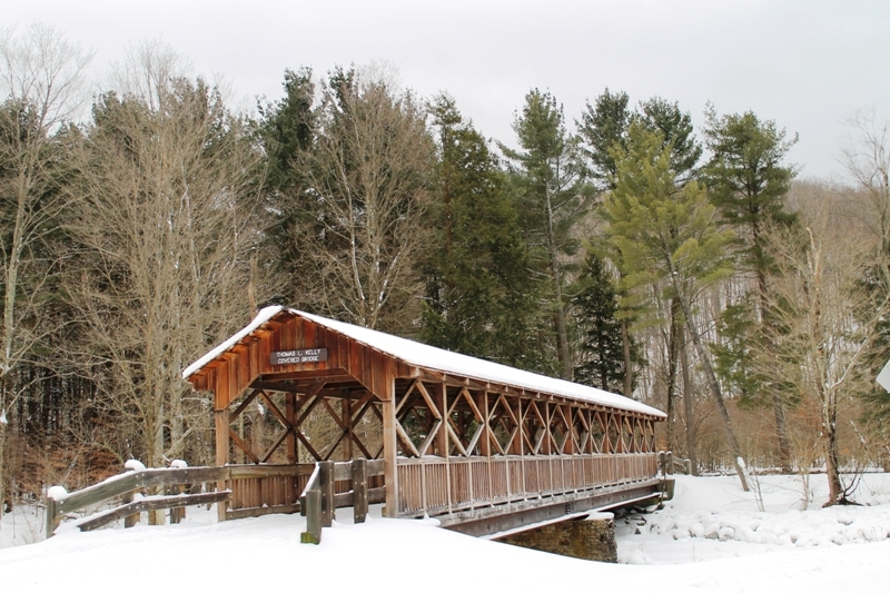 Picture of bridge at Allegany State Park