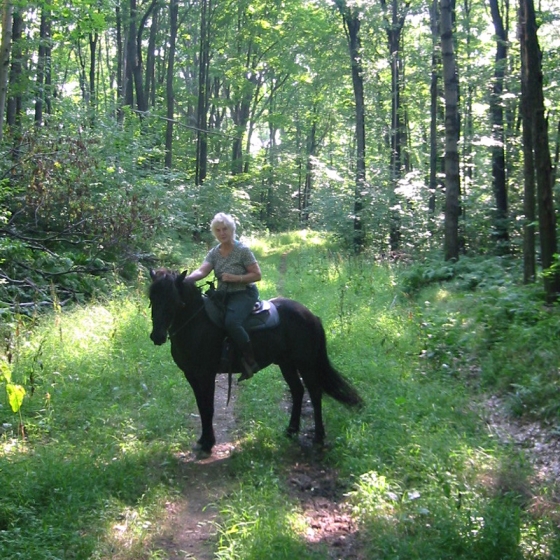 Alice and Horse on the trail at Allegany State Park