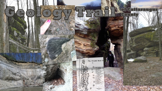 Picture Collage of geologic formations in Cattaraugus County