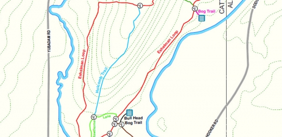 Preview of a portion of the Eshelman Tract map