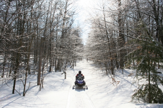 Snowmobile on a trail at Allegany State Park