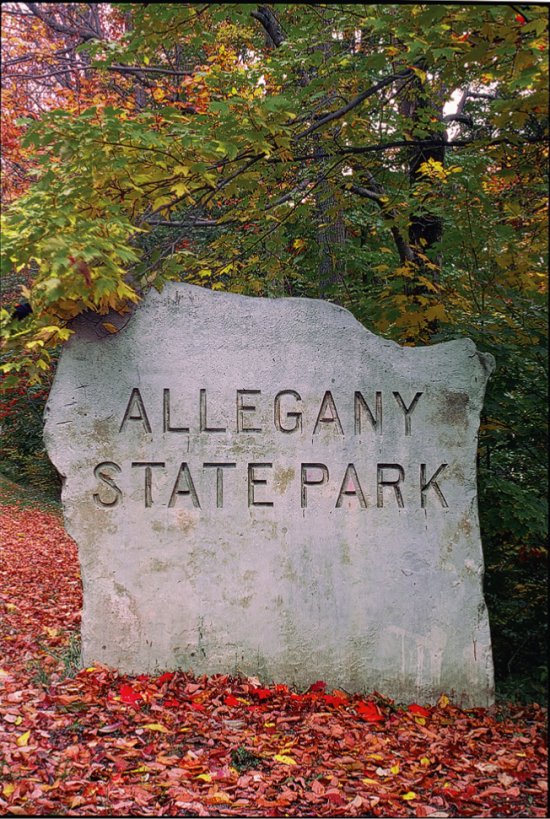 Fall in Allegany State Park