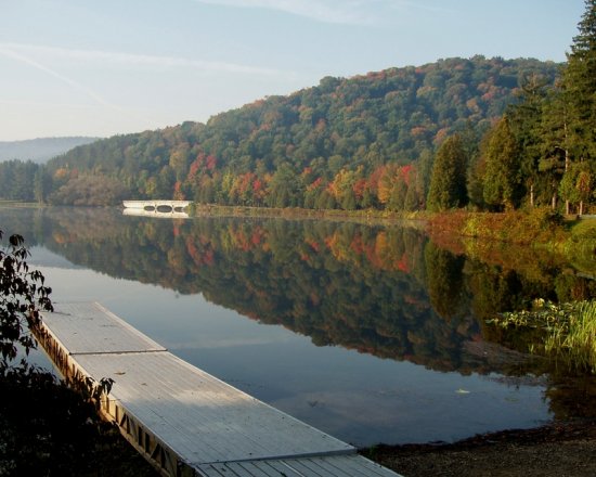 Fall in Allegany State Park