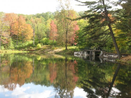 Fall in Allegany State Park