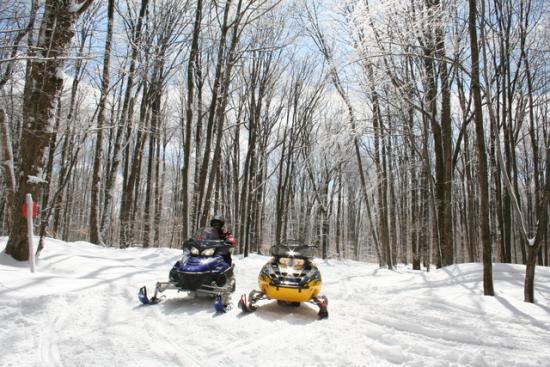 Two snowmobiles in a turn