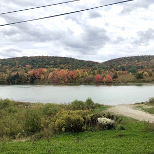 Fall at Case Lake