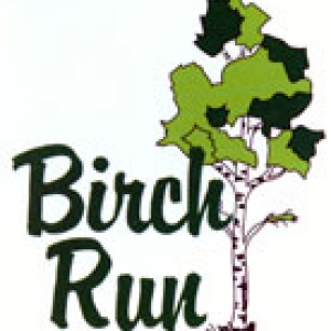 Photo of Birch Run Country Club