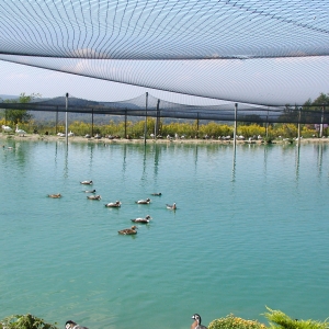 Gooseneck Hill has the 2 largest covered aviaries in the U.S.