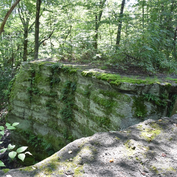 Photo of rocks at Little Rock City