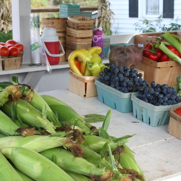 Photo of fresh produce