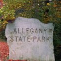 Fall in Allegany State Park