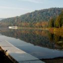 Fall in Allegany State Park