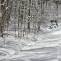 Snowmobile Trail Groomer on a trail at Allegany State Park
