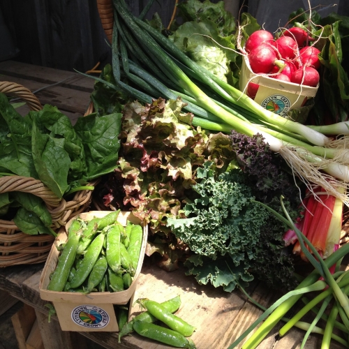 Canticle Farm Spring Share