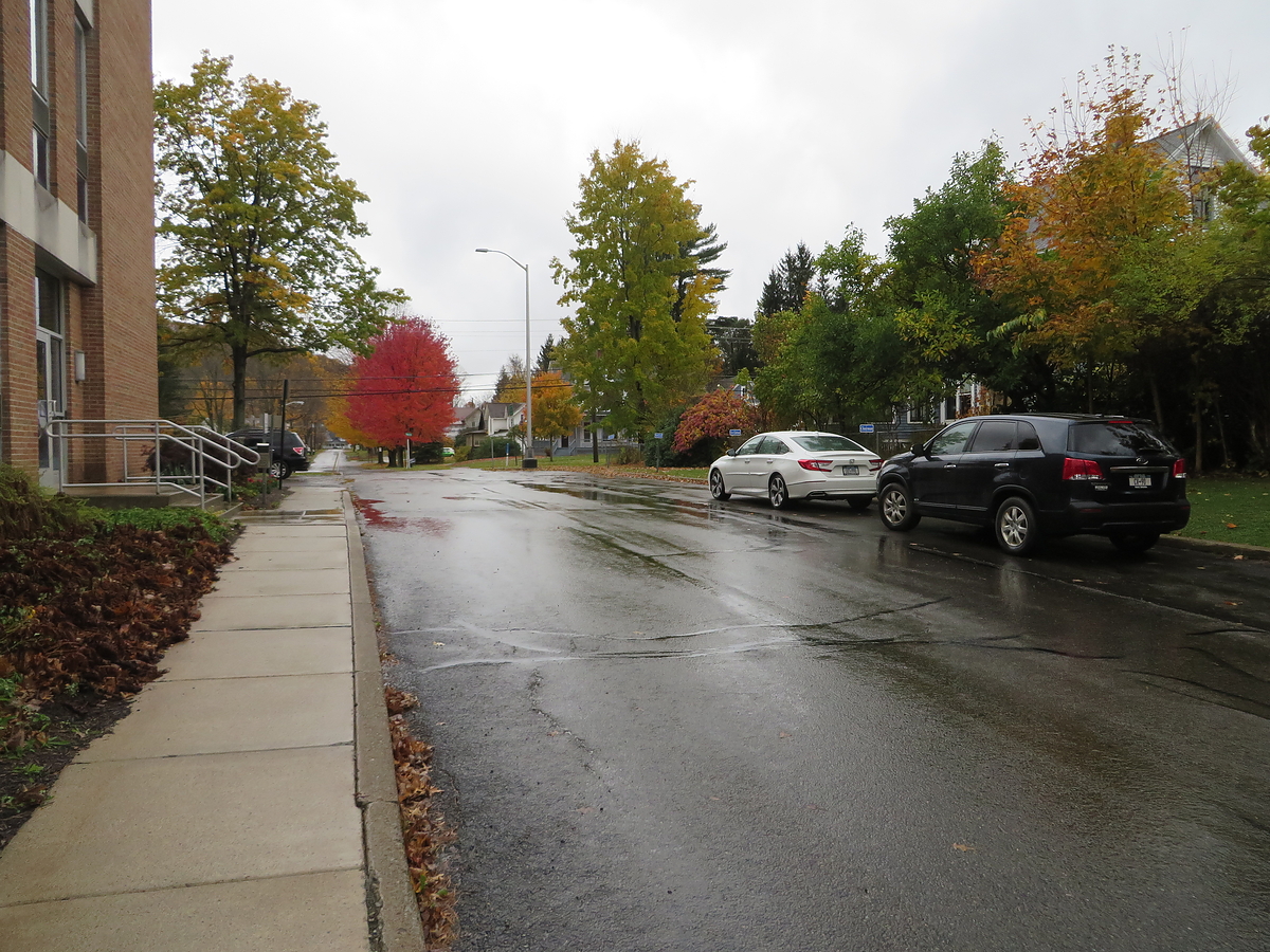 Cattaraugus County Fall Foliage 