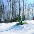 Topping the turtle at Holimont