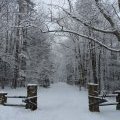 Art Roscoe Trail System Beginning 